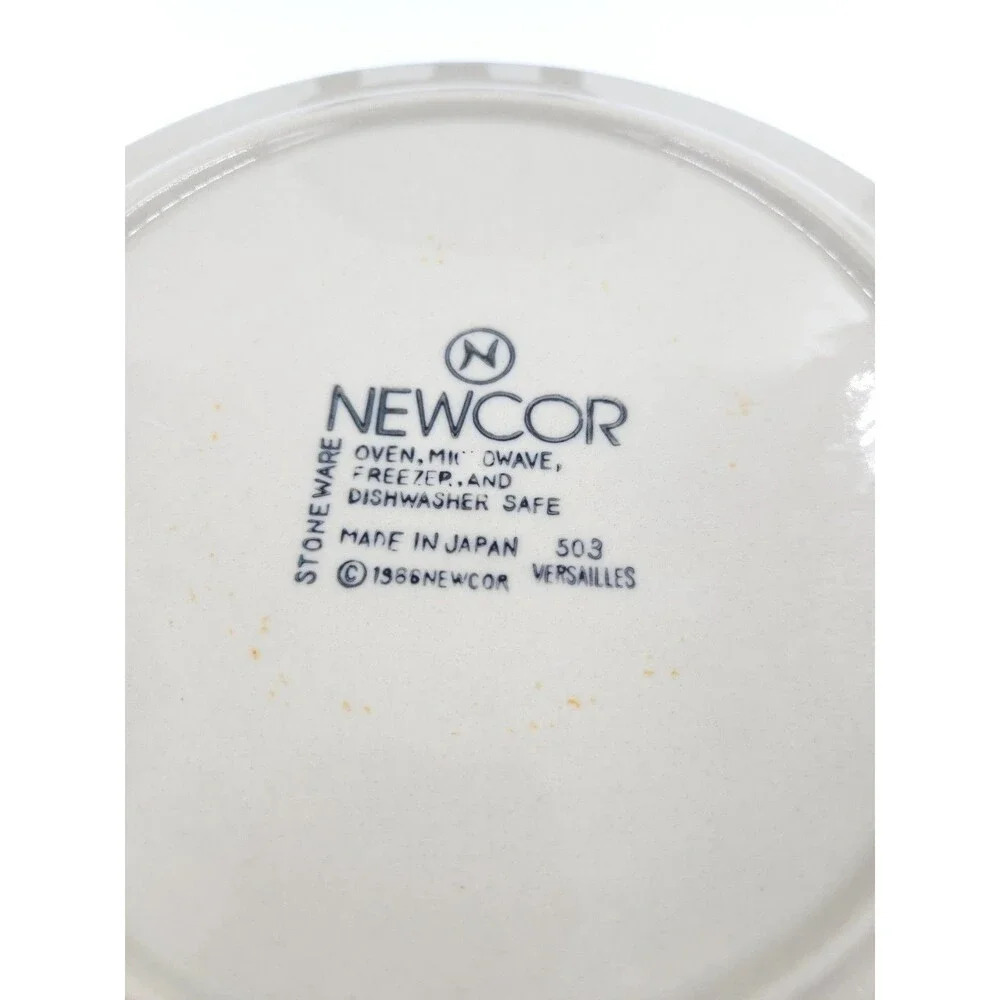 2 Newcor Stoneware Dinner Plates 10.5 